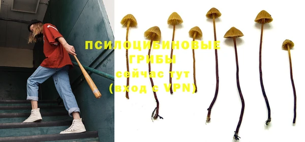 прущие грибы Алексеевка