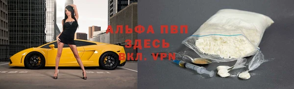 прущие грибы Алексеевка