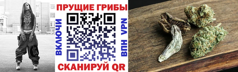 Псилоцибиновые грибы MAGIC MUSHROOMS  МЕГА ONION  Бокситогорск 